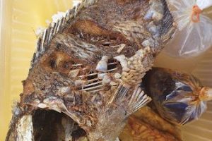 Ayam Penyet Jember Puchong