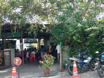 Bawah pokok 1 bawah pokok