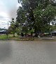 Bawah pokok Bawah pokok