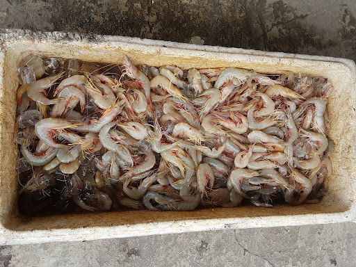 Gerai Nasi Ayam Wan Gerai Nasi Ayam Wan