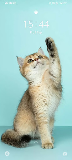 Warong Bakso Nasi Ayam Penyet