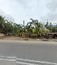 nasi ayam kampung serati