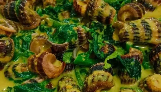kuwaah masak lemak cili api daging salai siput sedut patin tempoyak ayam kampung tampin