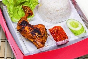 Raja Nasi Ayam Paka